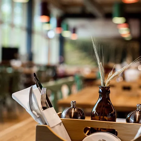 Parkhotel 4* 海尔布隆